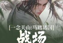 《一念关山：马踏诸国，战场无人能敌》全集免费在线阅读（欧阳棠）-够力荐小说推荐网