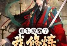 重生废柴?我修炼顶级神功主角叶无双慕容雪小说完结版章节在线阅读-够力荐小说推荐网