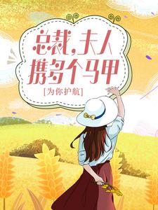 白苓傅琛小说《总裁，夫人携多个马甲为你护航！》在线阅读