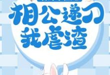 哪里能找到替嫁小医妃,相公递刀我虐渣小说的全部章节?-够力荐小说推荐网