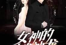 韩非赵宛如为主角的小说叫什么?免费看女神的贴身神龙-够力荐小说推荐网
