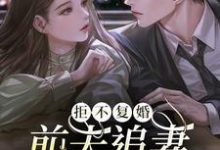 江潮陆北望的完整故事在哪里?读拒不复婚:前夫追妻杀疯了小说-够力荐小说推荐网