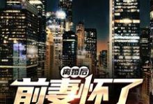 离婚后,前妻怀了我的孩子小说最新更新在哪里?免费在线看-够力荐小说推荐网