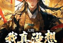 大明：我真没想当皇帝！小说最新更新在哪里？免费在线看-够力荐小说推荐网