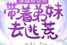 小说《穿越有空间,带着弟妹去逃荒》章节免费阅读-够力荐小说推荐网