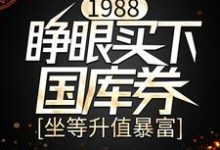 林致远武小青是哪本书的主角？1988：睁眼买下国库券，坐等升值暴富免费读-够力荐小说推荐网