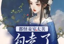 求 宁兰魏铮小说免费资源-够力荐小说推荐网
