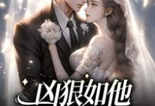 《凶狠如他,却对我柔情》小说章节列表免费试读,夏蔻蔻许龙濯小说在线阅读-够力荐小说推荐网