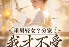 免费在线阅读重男轻女?分家! 我才不受这窝囊气小说的正规网站有哪些?-够力荐小说推荐网