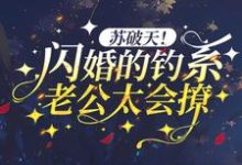 苏破天!闪婚的钓系老公太会撩小说的免费电子版在哪里可以下载或阅读?-够力荐小说推荐网
