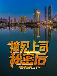 撞见上司秘密后，他平步青云了免费阅读，撞见上司秘密后，他平步青云了章节在线阅读