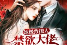 主角叫顾南舟沈喻小说她极致撩人，禁欲大佬清醒沦陷章节免费阅读-够力荐小说推荐网