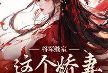 主人公叫江素槿沈衍丰的小说哪里免费看-够力荐小说推荐网