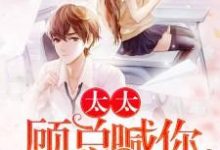 已完结小说《太太，顾总喊你生二胎》章节在线阅读-够力荐小说推荐网