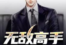 完结版《无敌高手在都市》在线免费阅读-够力荐小说推荐网