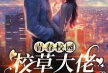 小说《青春校园：校草大佬的白月光》在线章节阅读-够力荐小说推荐网