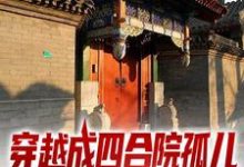 想读陈知行陈宁的故事,哪里可以免费找到穿越成四合院孤儿,我靠系统起飞了?-够力荐小说推荐网