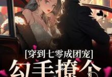 哪里能找到穿到七零成团宠,勾手撩个兵哥哥小说的最新更新和免费章节?-够力荐小说推荐网