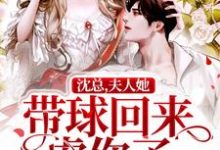沈总,夫人她带球回来虐你了章节免费在线阅读,林小冉沈怀瑾完结版-够力荐小说推荐网