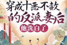 穿成十恶不赦的反派妻后，他洗白了小说无弹窗阅读的网站推荐-够力荐小说推荐网