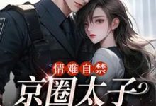 《情难自禁，京圈太子对她上瘾》全集免费在线阅读（云慕权衍墨）-够力荐小说推荐网