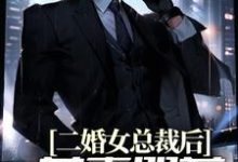 二婚女总裁后，前妻哭着求复合皮阳阳苏雪晴小说免费阅读-够力荐小说推荐网