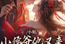 小说《小姐，小侯爷他又来爬墙看你了》在线章节阅读-够力荐小说推荐网