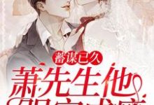 已完结小说《蓄谋已久，萧先生他强宠成瘾》章节在线阅读-够力荐小说推荐网