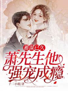 已完结小说《蓄谋已久，萧先生他强宠成瘾》章节在线阅读