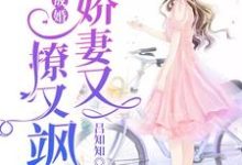 在线寻找阮玉糖墨夜柏墨夜橙的小说，一睡成婚：娇妻又撩又飒免费阅读-够力荐小说推荐网