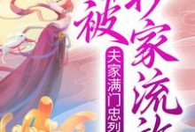 《夫家满门忠烈,却被抄家流放?》小说章节在线试读,《夫家满门忠烈,却被抄家流放?》最新章节目录-够力荐小说推荐网