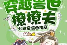 丁璇巢项伏珩辰穆小说叫什么(穿越兽世撩撩夫免费阅读)-够力荐小说推荐网