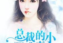 总裁的小逃妻最新章节,总裁的小逃妻免费阅读-够力荐小说推荐网