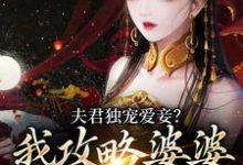 夫君独宠爱妾？我攻略婆婆来撑腰这本小说怎么样？免费在线阅读试试-够力荐小说推荐网