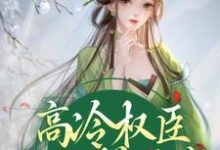 高冷权臣他心悦于我小说，高冷权臣他心悦于我章节在线阅读-够力荐小说推荐网
