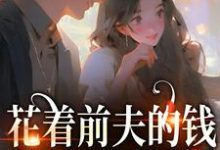 免费看花着前夫的钱,养了一屋男模小说的网站有哪些?-够力荐小说推荐网