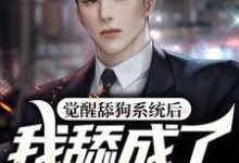 寻找能够免费阅读觉醒舔狗系统后,我舔成了世界首富小说的平台-够力荐小说推荐网