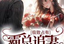 主角陆子睿肖翎朵小说极致占有：霸总追妻也很甜免费阅读-够力荐小说推荐网