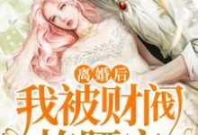 求推荐可以免费阅读离婚后,我被财阀掐腰宠小说的网站-够力荐小说推荐网