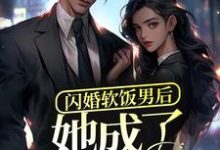 已完结小说《闪婚软饭男后,她成了富太太?》章节在线阅读-够力荐小说推荐网