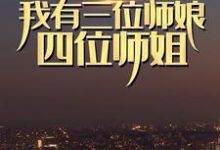 别惹我,我有三位师娘四位师姐小说的无弹窗阅读体验,寻找免费阅读网站-够力荐小说推荐网