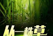 寻找从一株草开始进化小说的最新更新章节-够力荐小说推荐网