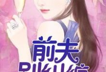 免费在线阅读前夫,别纠缠小说的正规网站有哪些?-够力荐小说推荐网