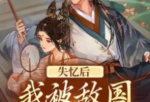 《失忆后：我被敌国侯爷捡到了》小说章节列表免费试读，沈鸣珂宋锦瑟小说在线阅读-够力荐小说推荐网