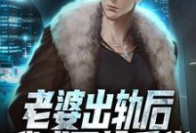 免费阅读王宇为主角的小说,老婆出轨后,我成了抢手货在线看-够力荐小说推荐网