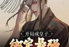 主角李九天小说完结版在线阅读，开局成皇子，绑定最强开挂系统免费看-够力荐小说推荐网