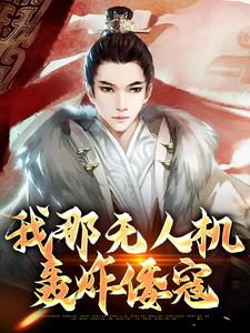 我那无人机轰炸倭寇小说的无弹窗阅读体验，寻找免费阅读网站