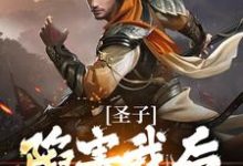 主角叶圣陶小说完结版在线阅读，圣子陷害我后，宗门暴乱免费看-够力荐小说推荐网