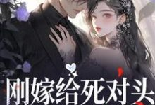 《刚嫁给死对头,他就骗我生崽》小说章节在线试读,《刚嫁给死对头,他就骗我生崽》最新章节目录-够力荐小说推荐网