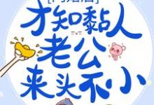 求推荐可以免费阅读闪婚后,才知黏人老公来头不小小说的网站-够力荐小说推荐网